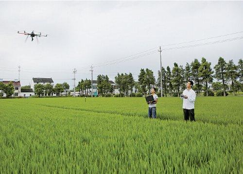 無人機遙感技術(shù)